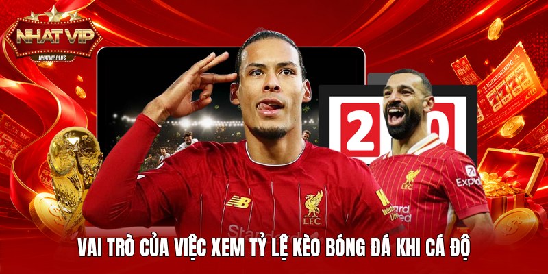 Vai trò của việc xem tỷ lệ kèo bóng đá khi cá độ