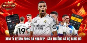 Xem Tỷ Lệ Kèo Bóng Đá