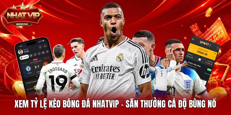 xem ty le keo bong da nhatvip san thuong ca do bung no Xem Tỷ Lệ Kèo Bóng Đá